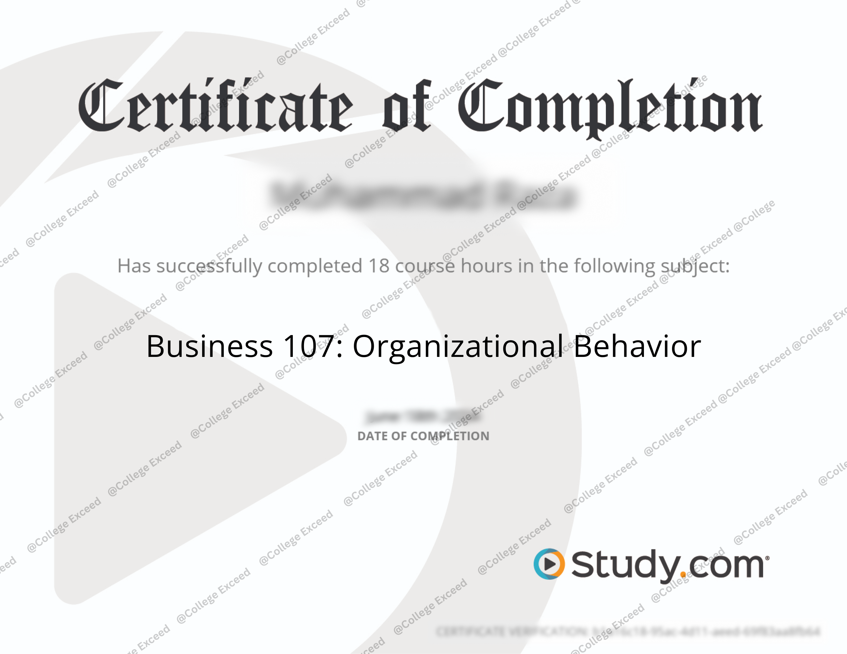 Study.com Business 107