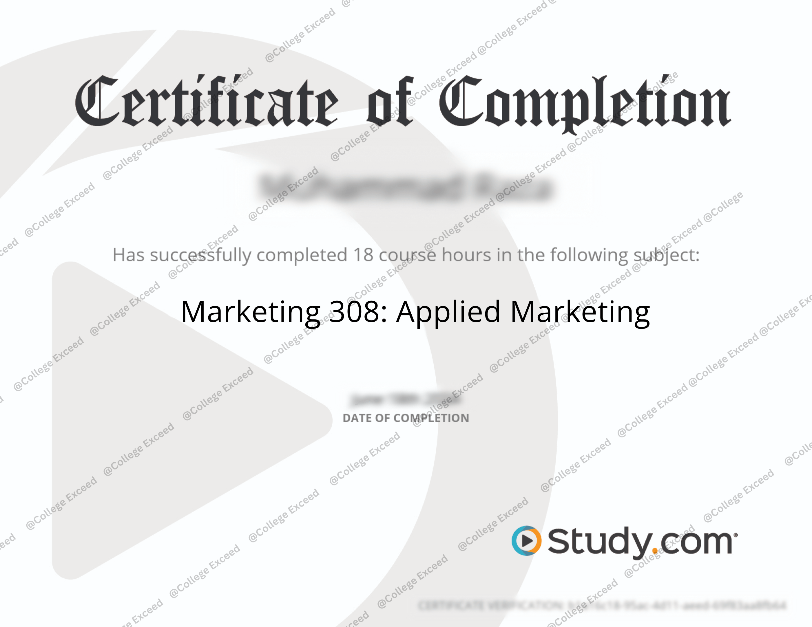 study.com Marketing 308